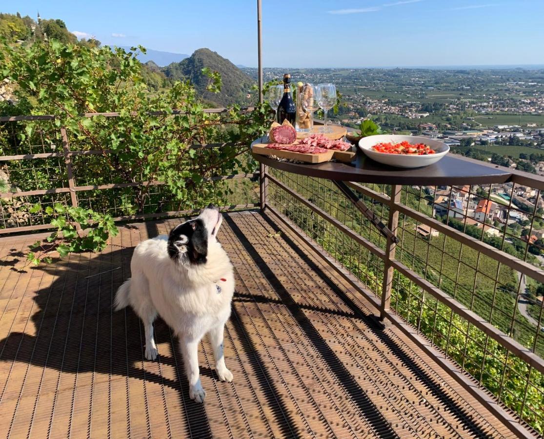Rustico Costa D'Oro Villa Farra di Soligo Екстериор снимка