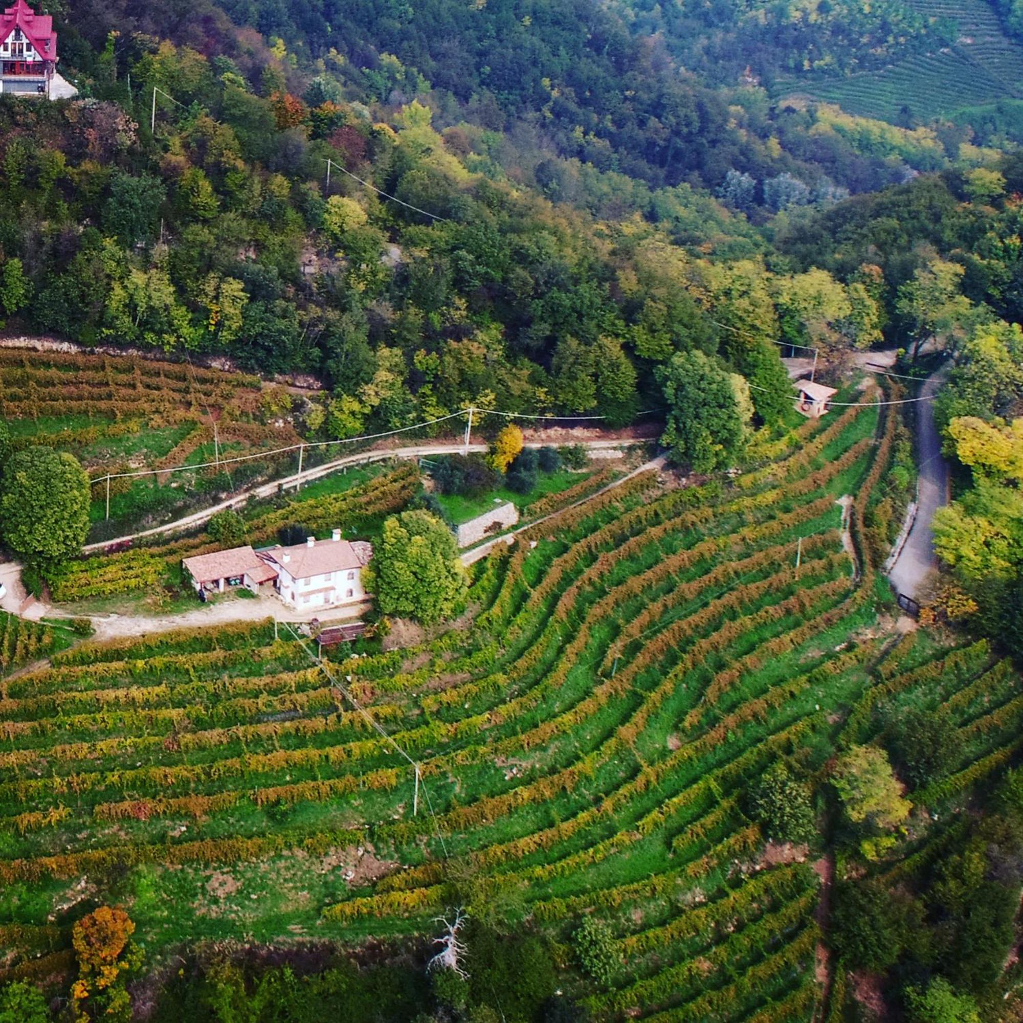 Rustico Costa D'Oro Villa Farra di Soligo Екстериор снимка
